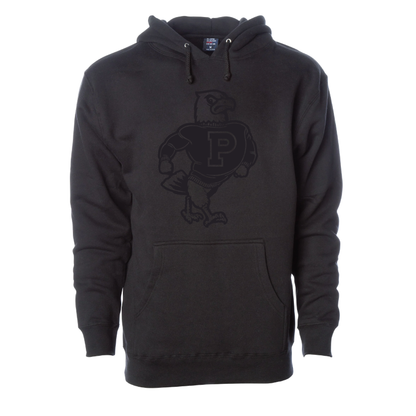 Monochromatic - Adult Hoodies
